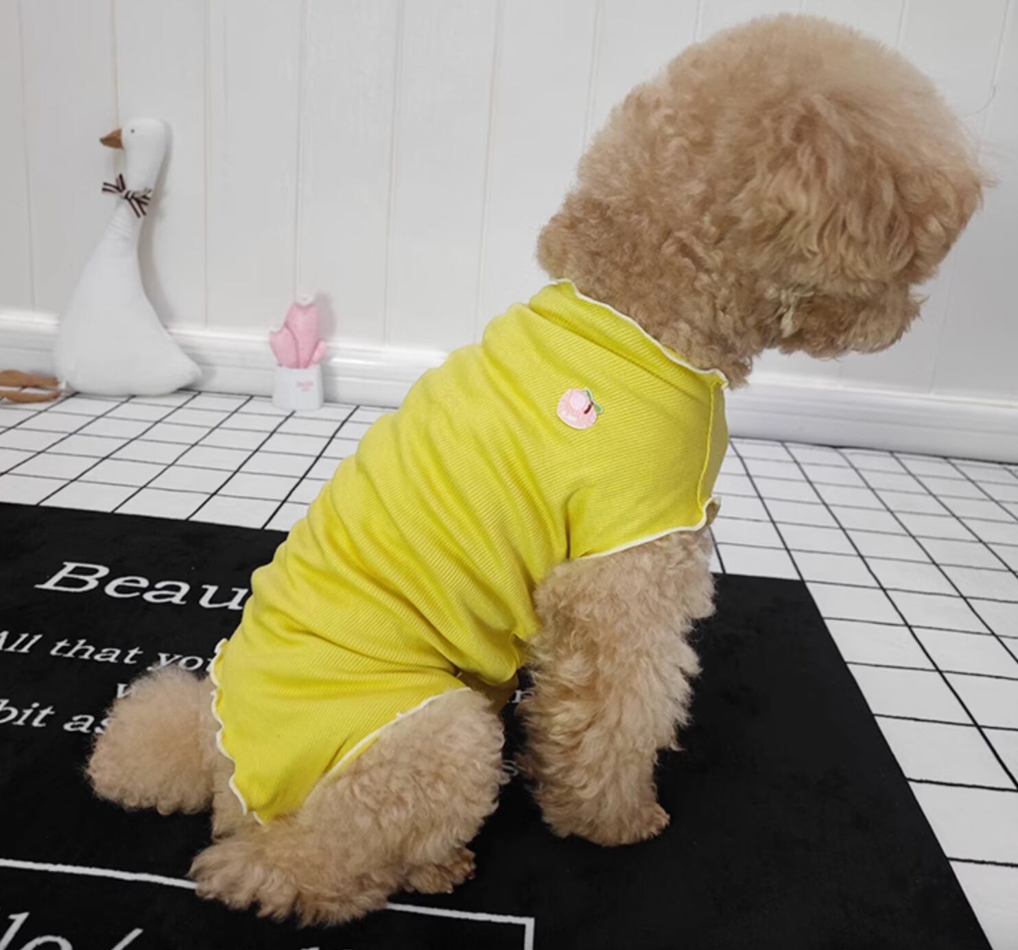 ドッグ 犬 中型犬 小型犬 フレブル チワワ パグ ヨークシャテリア Mダックス ヨークシャー ドッグウェア 室内着 ドレス ベスト タンクトップ チョッキ タイト スリム 細身 ストレート フルーツ かわいい きれいめ シンプル カジュアル 上品 レトロ 個性的 ラブリー キュート ガーリー 春 夏 男の子 女の子 成犬 子ども デート お出かけ アウトドア キャンプ パーティー イベント リゾート 旅行 海 プール レストラン ビーチ 公園 休日 バカンス ショッピング カフェ 朝 散歩 ウォーキング