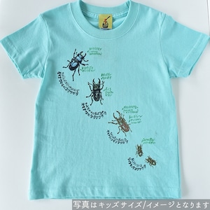 沖縄のクワガタ　Tシャツ　大人サイズ