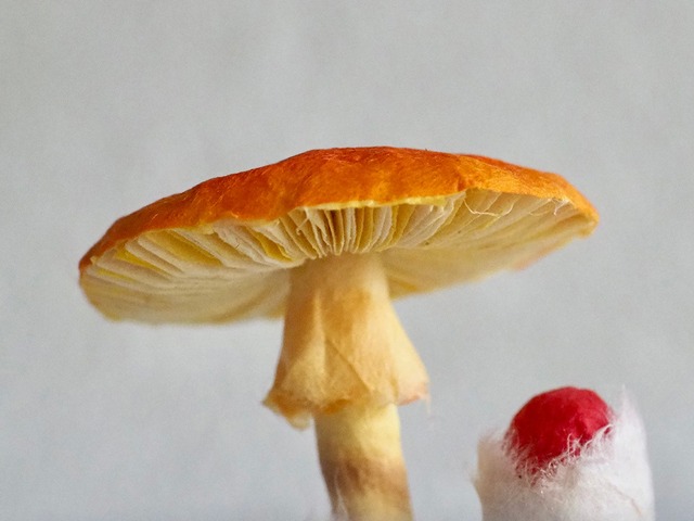 内藤瑠里　和紙のミニきのこ模型 ”  タマゴタケ 01 "