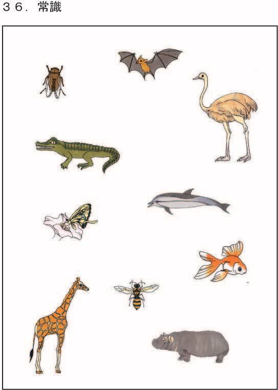 江戸取受験合格問題集 第1～6集セット 2026受験用 | kidscollege