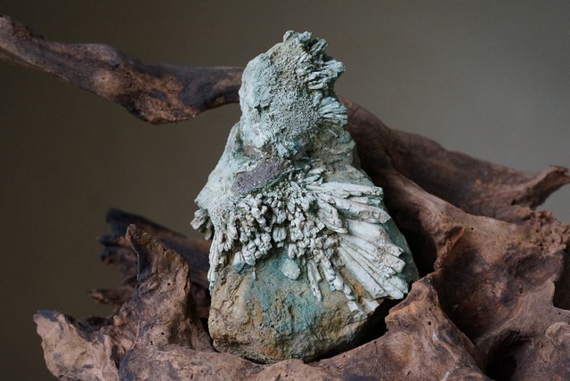 菊花石　Chrysanthemum Stone　A