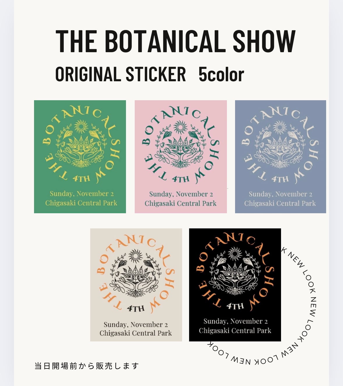 多肉植物 碧魚連 6㎝ポット | light terrace