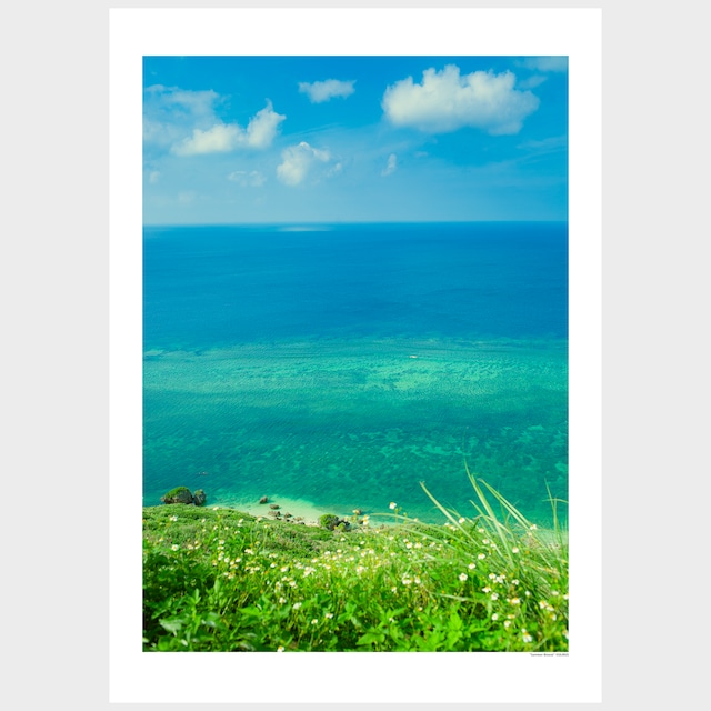 "Summer Breeze" 夏のそよ風