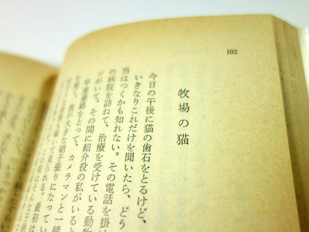 風の中の詩（串田孫一 著） | bookstore ナルダ