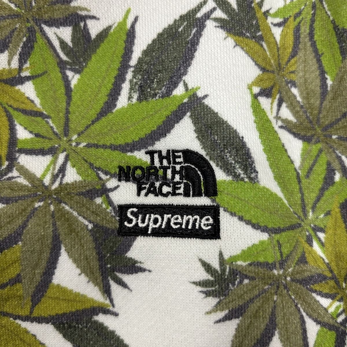 Supreme×THE NORTH FACE/シュプリーム×ノースフェイス【23AW】Leaf 