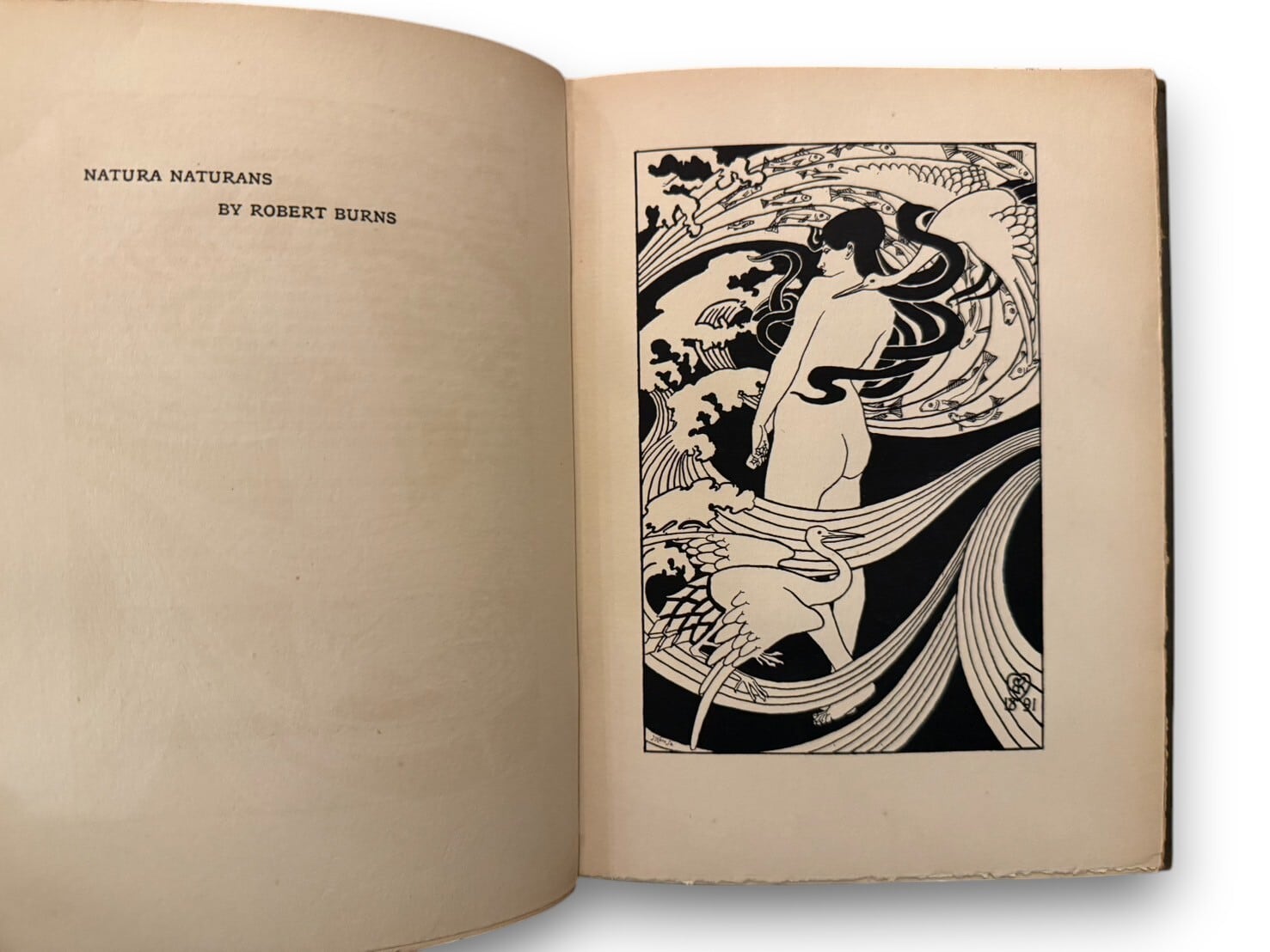 ❖ ABAJ 2026 Special Selection ❖【YRL099】The Evergreen: A