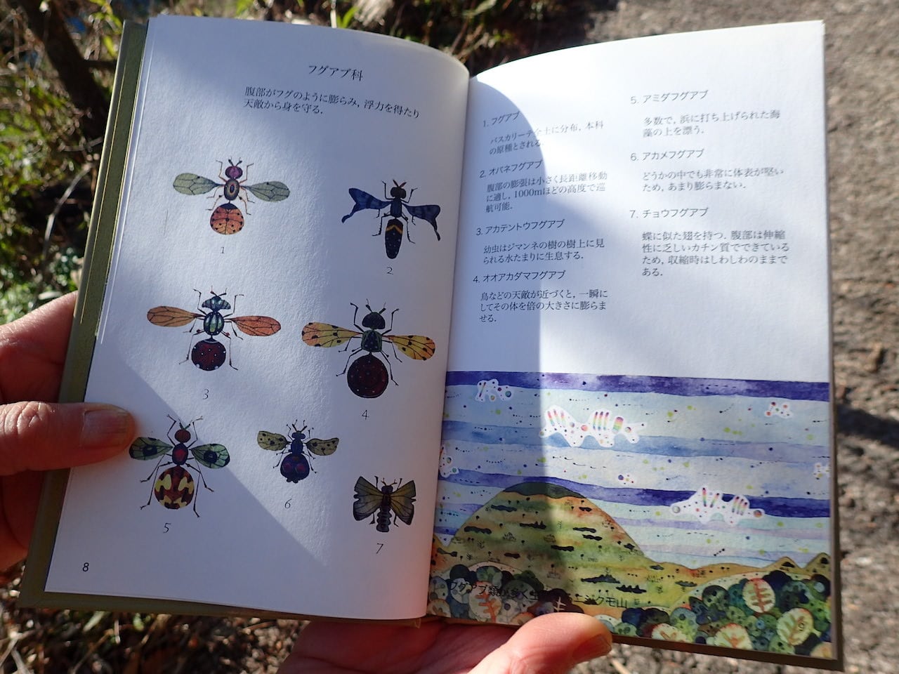 ニセ蟲図鑑 Guide of Fantastic Insects No.96 | まじっくらんど
