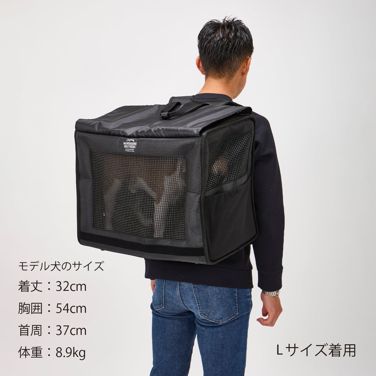 Renewal】BRIXTON CARRY BACKPACK −WIDE−(L)ブリクストン Renewal】BRIXTON CARRY BACKPACK −WIDE−(L)ブリクストン