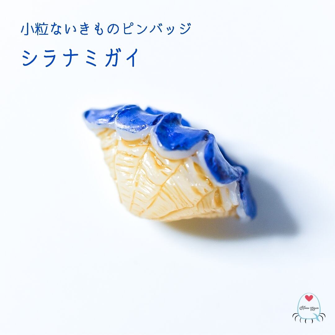 シラナミガイ＊小粒ないきもの ピンバッジ | あとりえくらげ