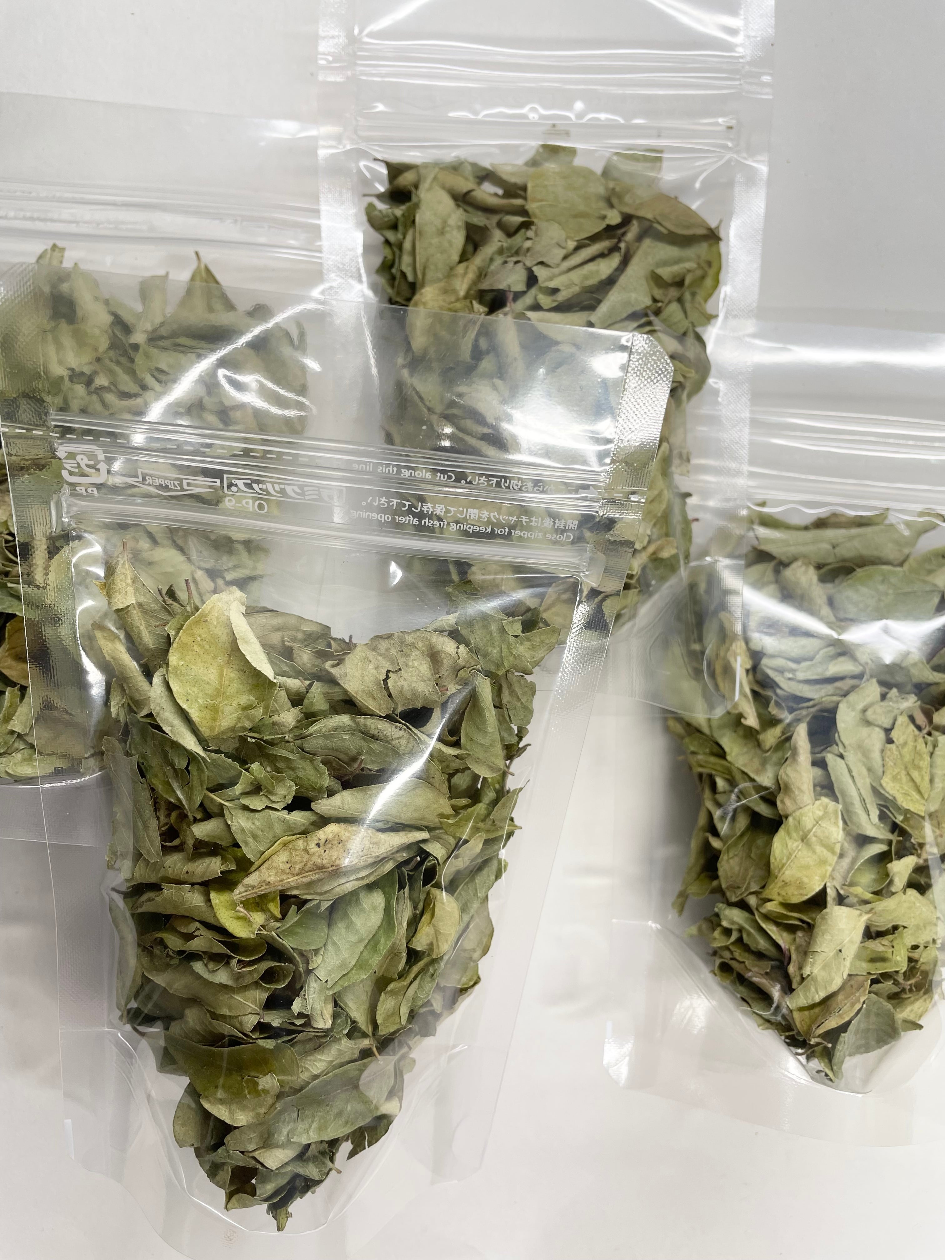 カレーリーフ 100g Curry Leaf | 王寺スパイス（oji spice）カレー屋の