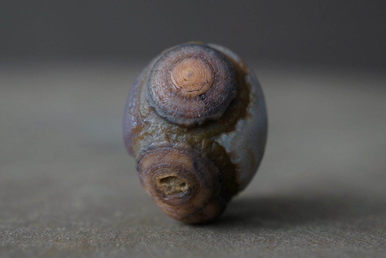 ゴビアゲート Gobi Agate 1685