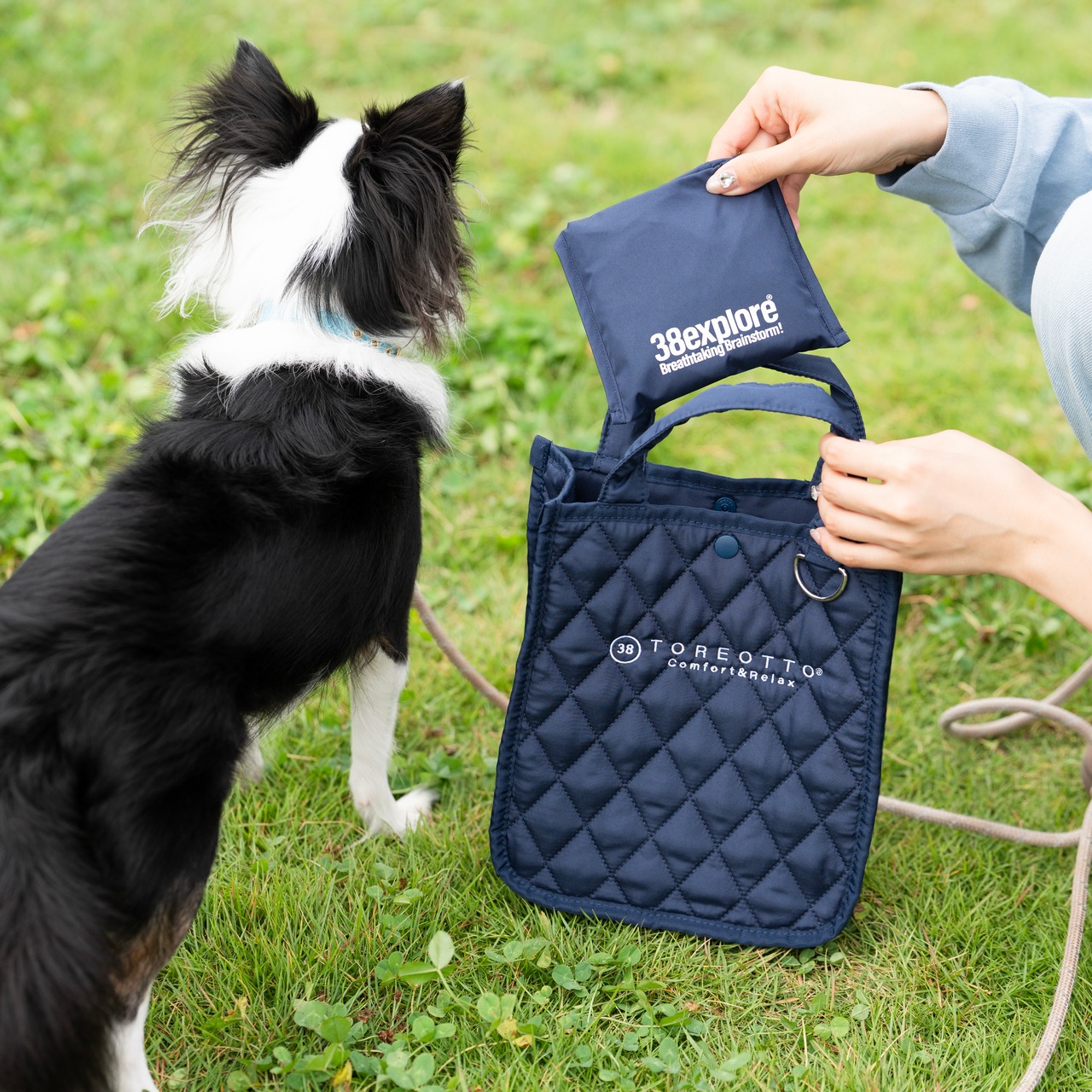TOREOTTO38 WALKINGBAG