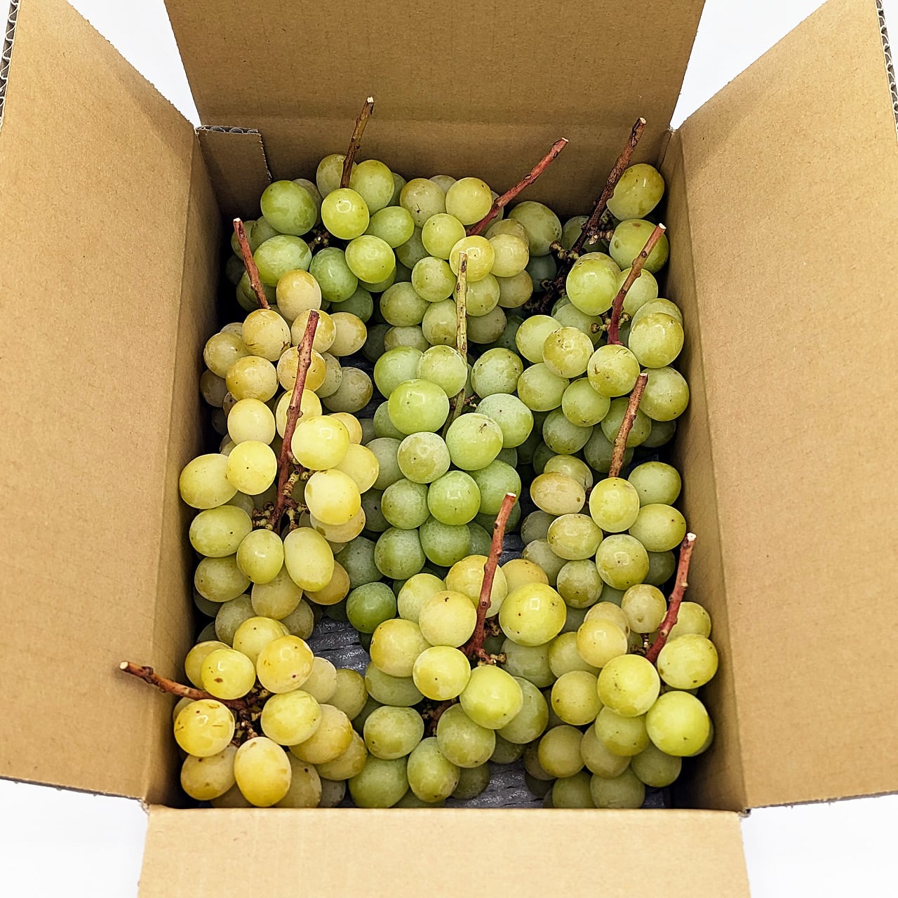 訳ありシャインマスカットお得な大容量約10kg 規格外/訳あり 信州の環境にやさしい農産物50(長野県認証)