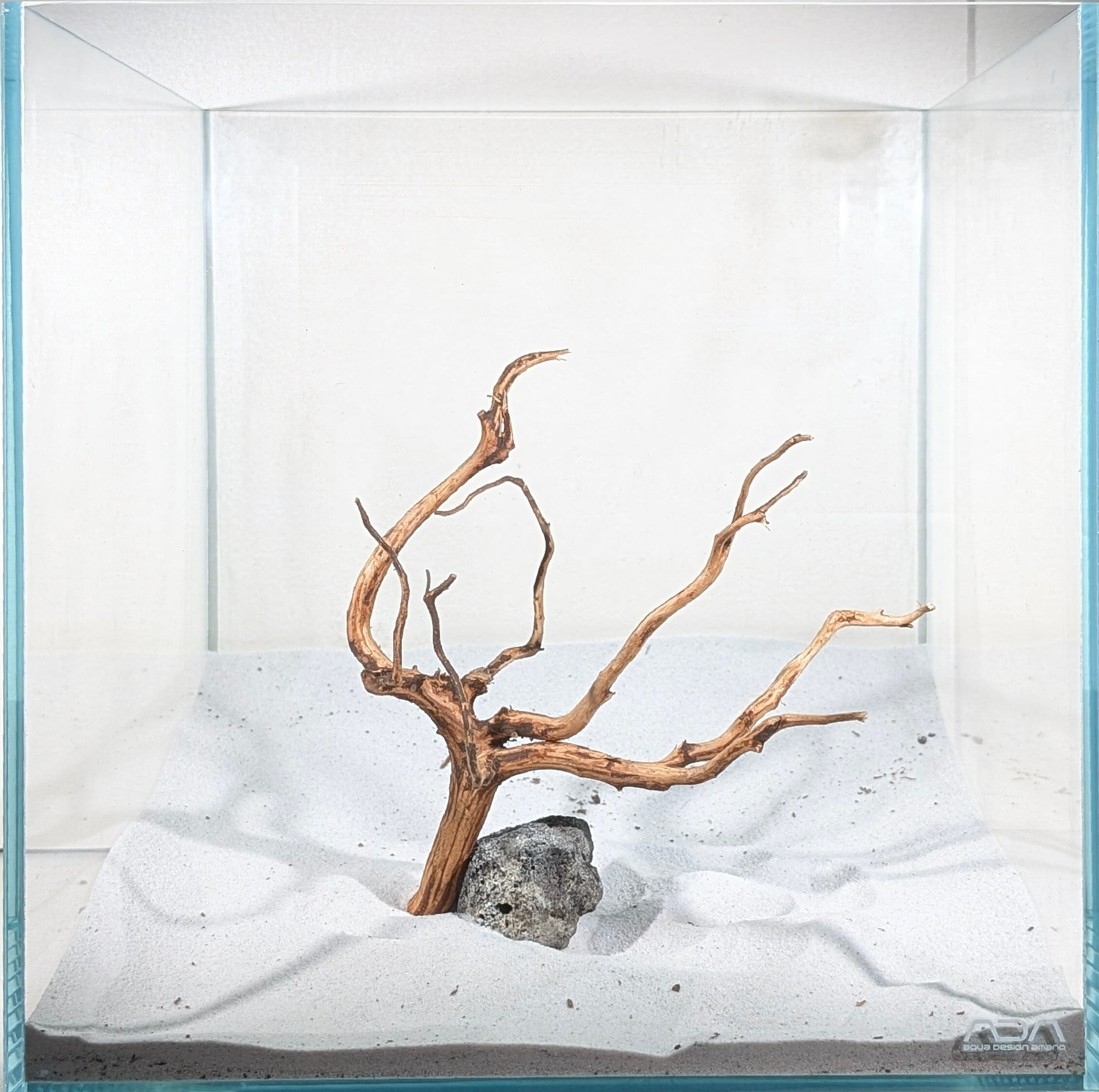 レイアウトセット【LSB016】 スマトラブランチウッド 水槽 まとめ買い対応 水草セット特集 | チャーム