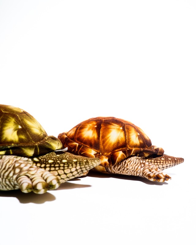 (RESTOCK) Giant turtle plush toy
