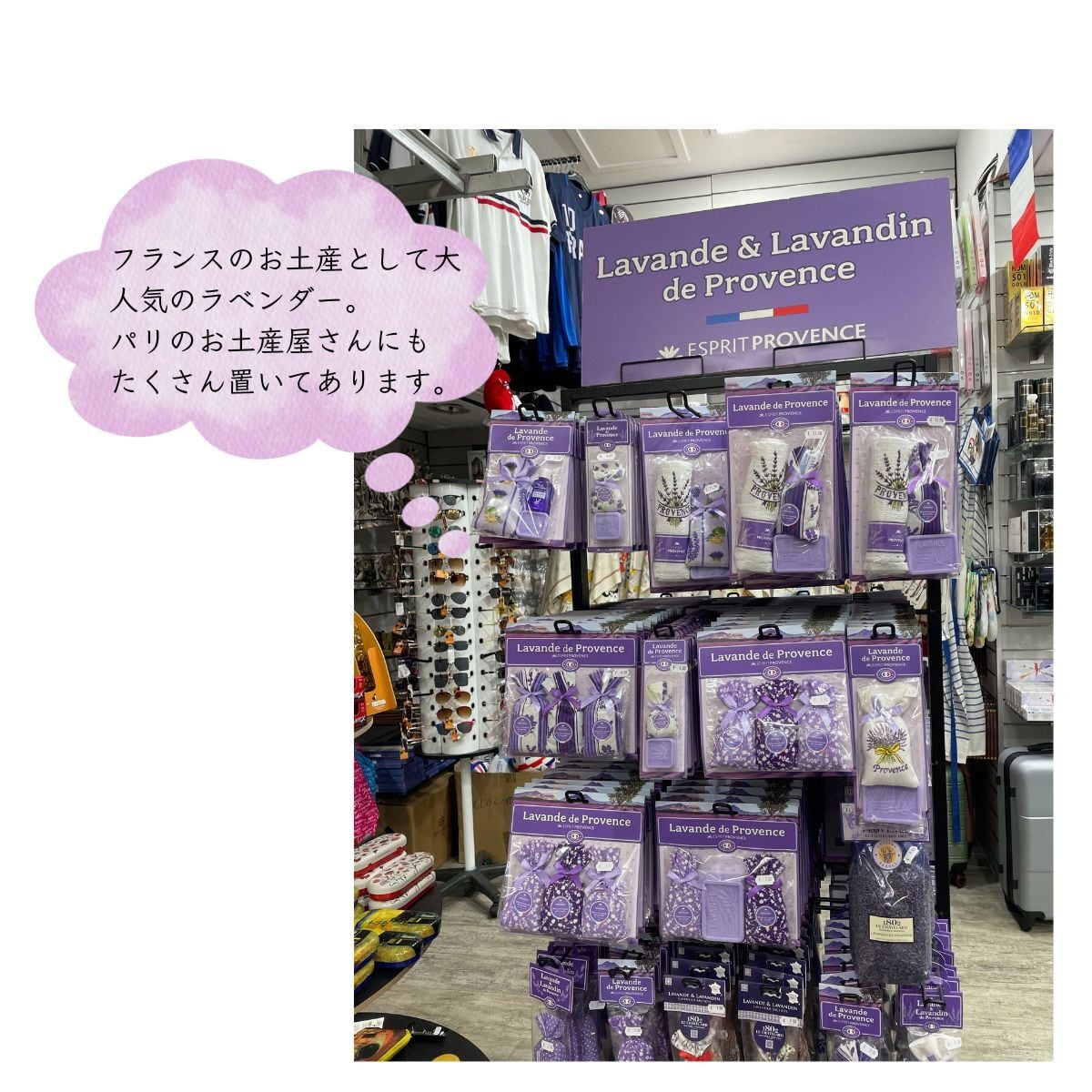 ラベンダー サシェ Sサイズ 選べる2タイプ ポータブルタイプ 南仏