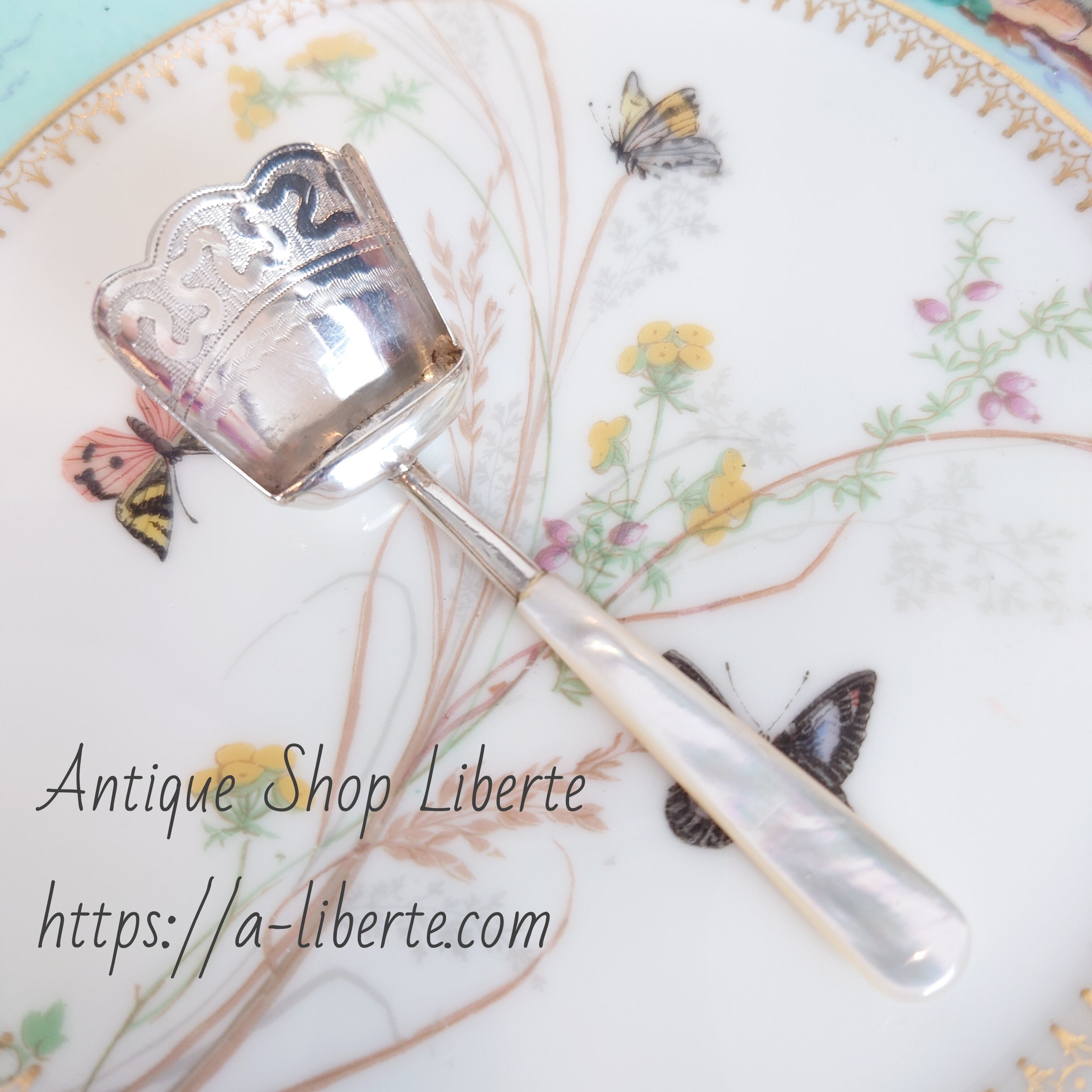 白蝶貝ハンドル 純銀 ティーキャディースプーン | アンティーク