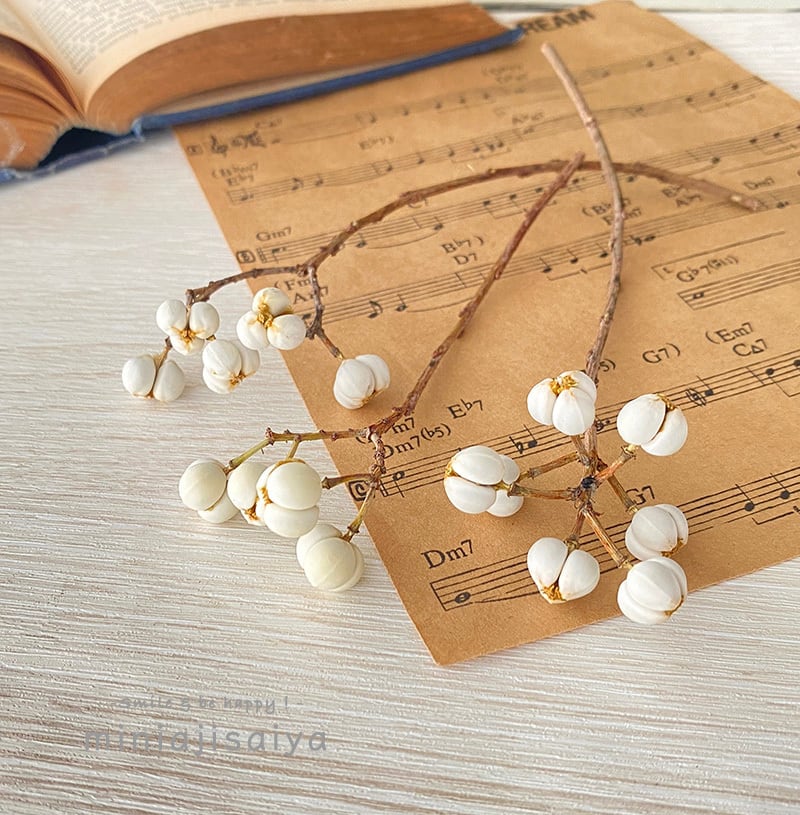 木の実 | ちいさなあじさいや 〜ミニチュアあじさいとお花資材のお店〜