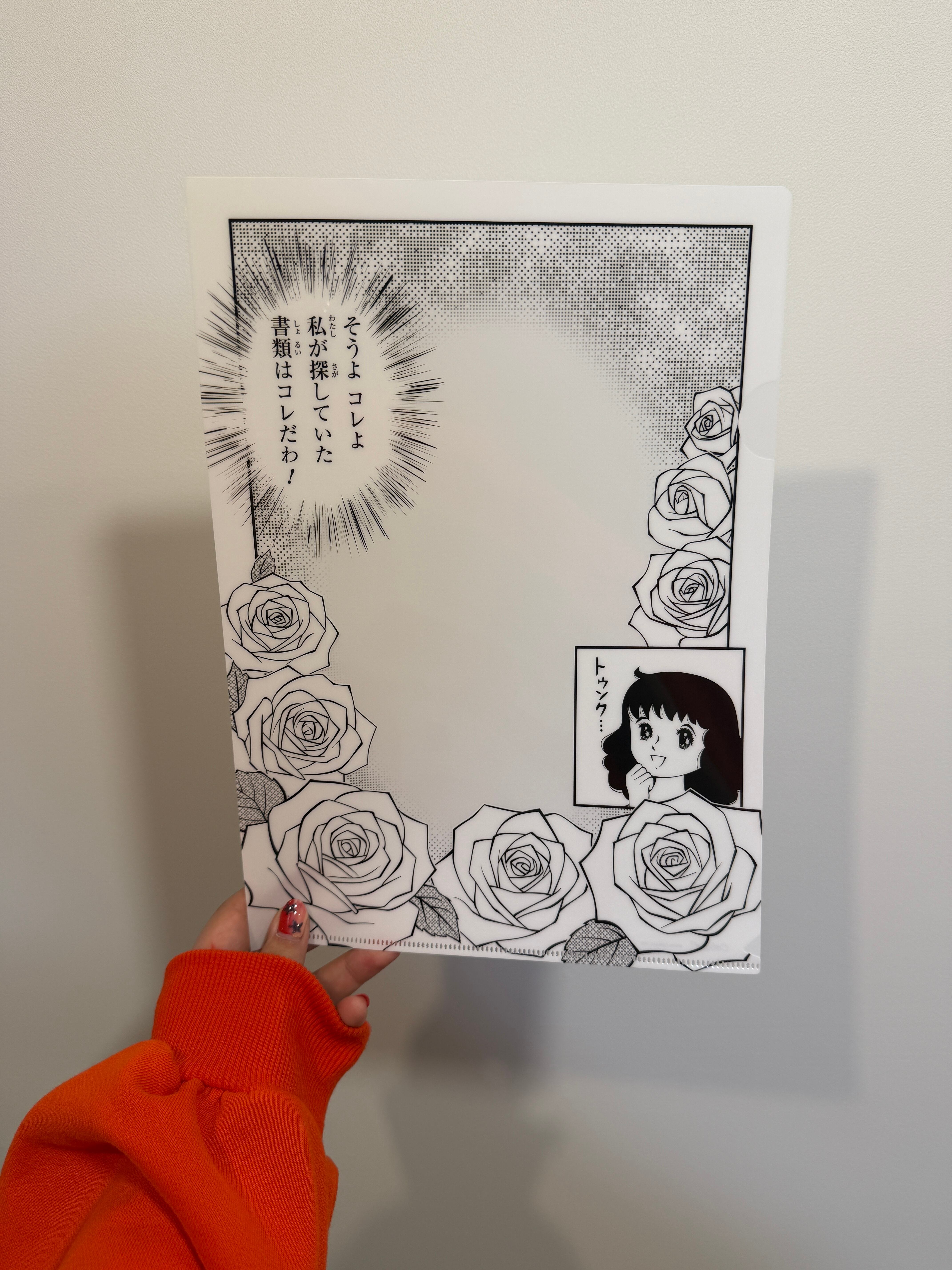 クリアファイル | 雑貨屋 コンパス