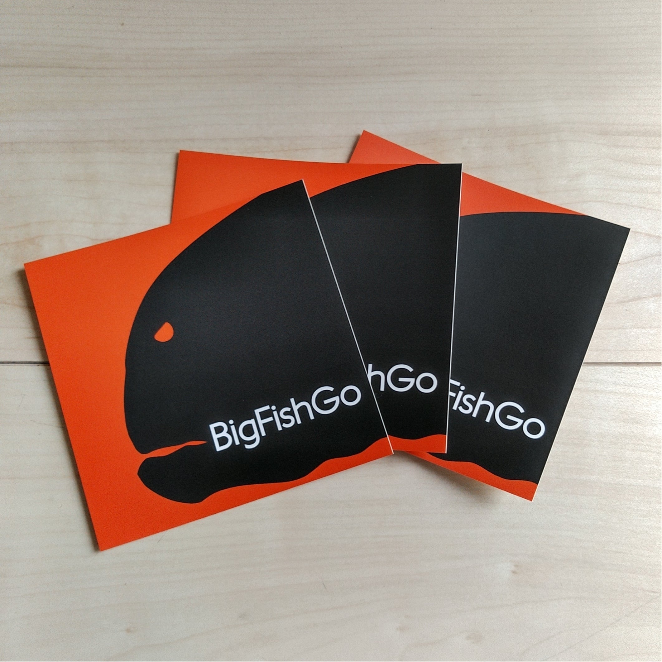 大人気の BigFishGo 堅実な究極の Explore BigFishGo Shore-GT Explore