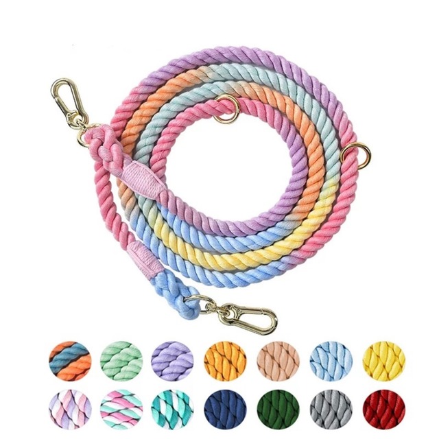 ペット/ カラフルリード