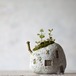 storn house（large) white　アーティフィシャルフラワー