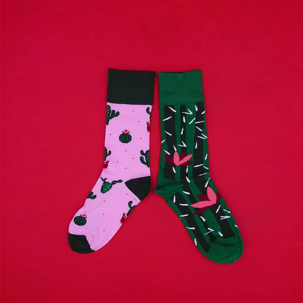 夏のサボテン インポート ソックス 【靴下 くつした socks】 | Piedi