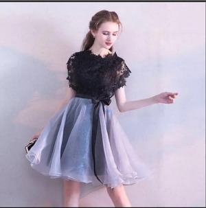 ★送料無料★9号★花柄レ－スフレア－ワンピ－ス(OPN3901)