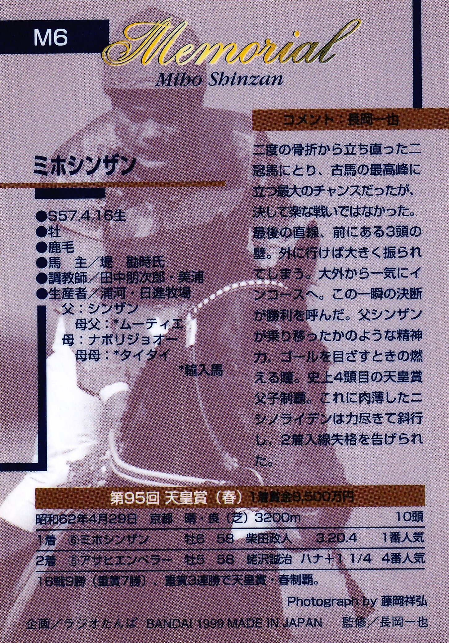 ミホシンザン：第95回 天皇賞(春)「サラブレッドカード 99年上半期」M6