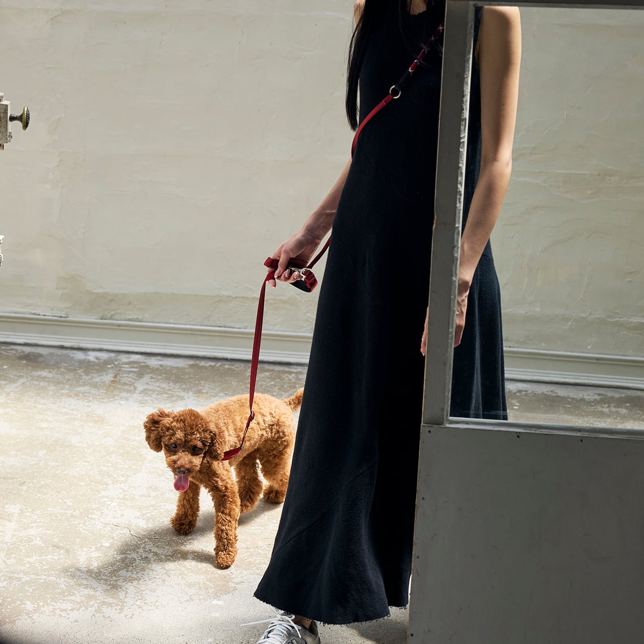 HANDS FREE LEASH ハンズフリーリーシュ | MANDARINE BROTHERS