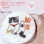 エコ木パルプスポンジ 福猫シリーズ