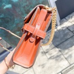 2021年SSモデル DELVAUX タンペート キャンバス×レザーショルダー thumbnail 8