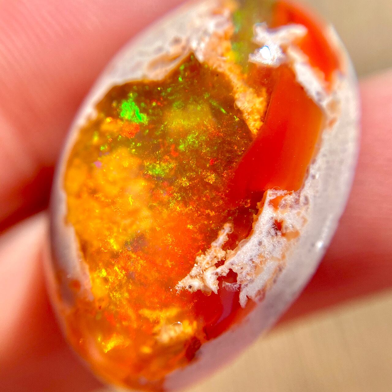 カンテラオパール2020 | Cats Polish Company