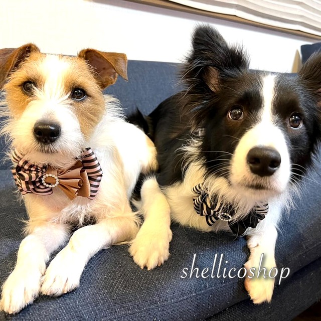 【ストライプblack × black】ボリュームたっぷりリボンチョーカー