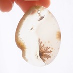 Crystal Forest - アゲートヒーリングチャイム / Agate Sun Catcher Wind Chime