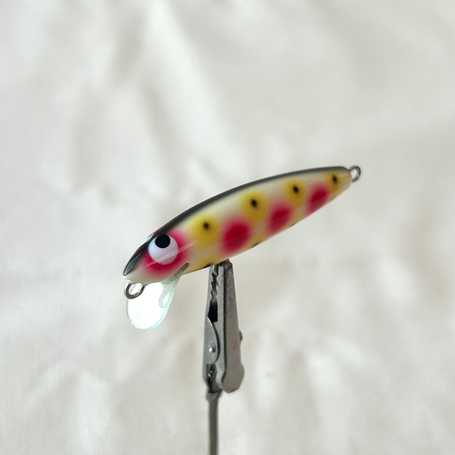 Persimmon-P | SABBATH FISHING