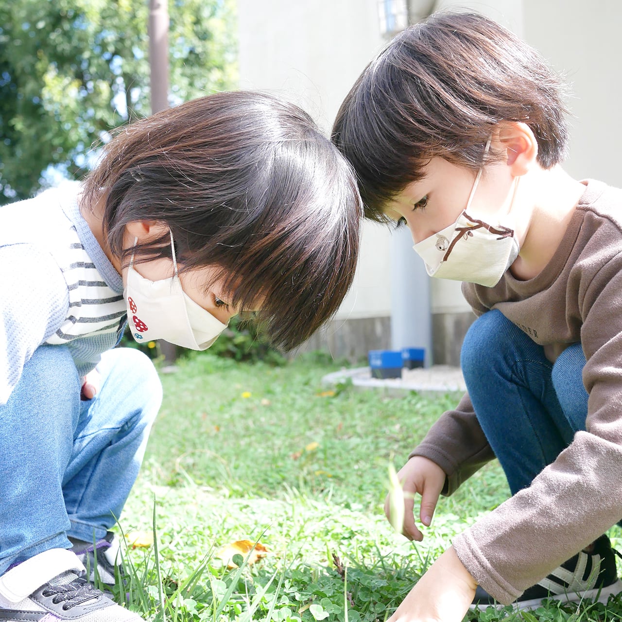 実りのマスク」鼻がズレない 子供用 クレンゼ マスク 3枚セット 抗菌抗