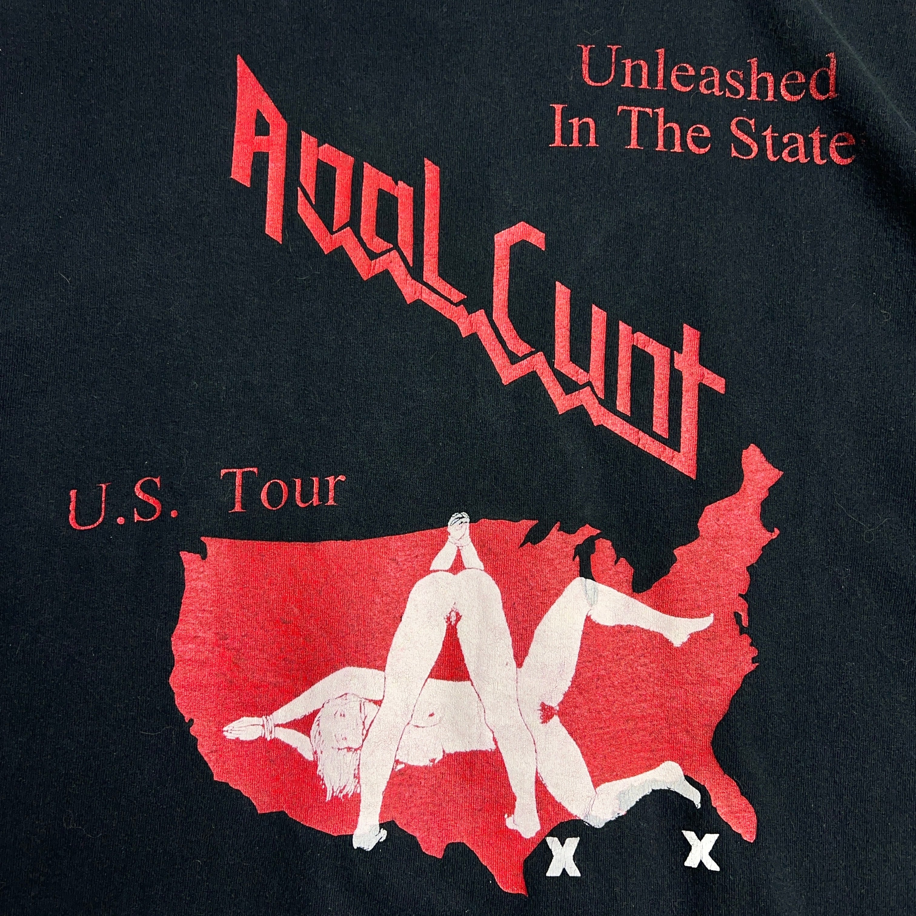 90's Anal Cunt U.S.Tour Tshirt 90年代 アナル・カント バンドTシャツ