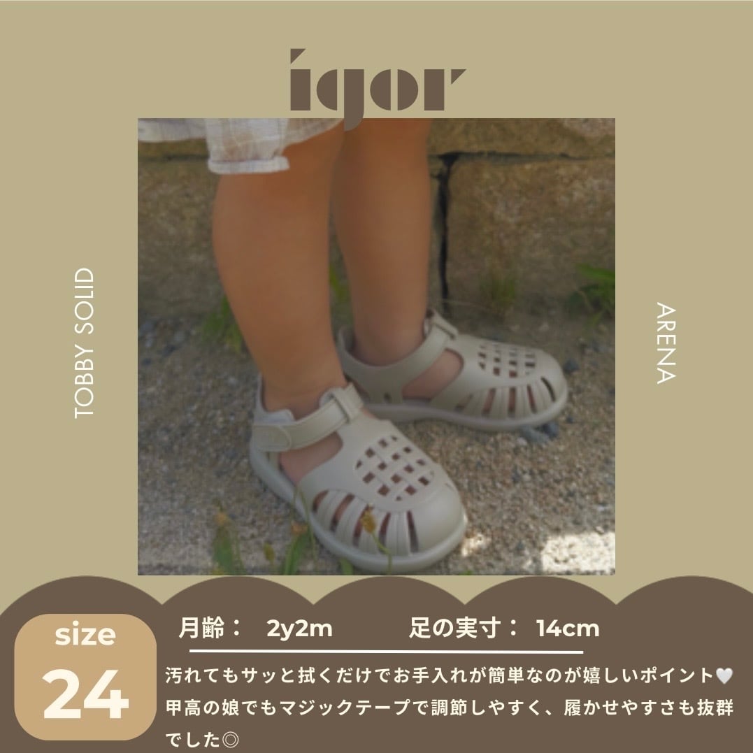 【即納/送料無料】igor / TOBBY SOLID / ARENA