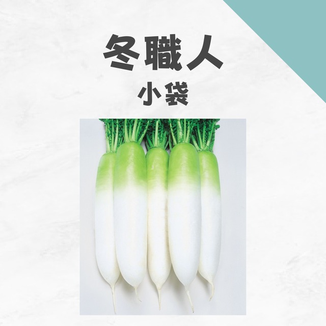 冬職人　ダイコン種子・小袋