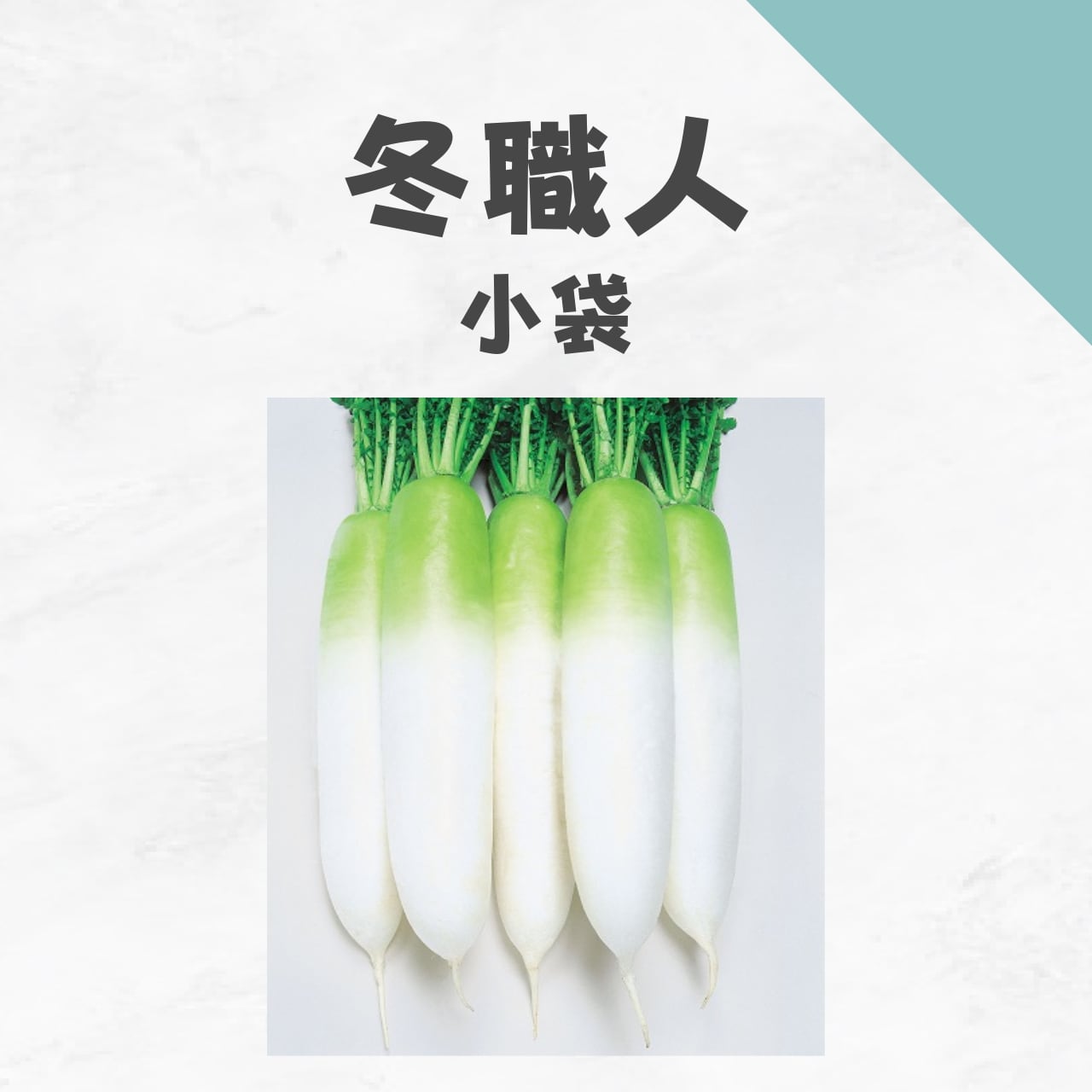 冬職人 ダイコン種子・小袋