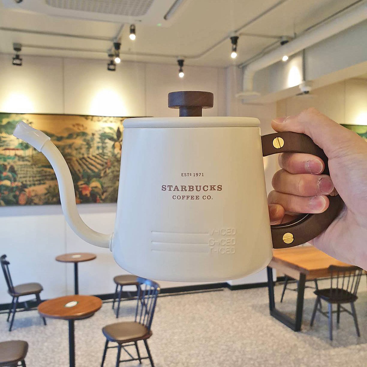 SS White starbucks kettle | wooristaba