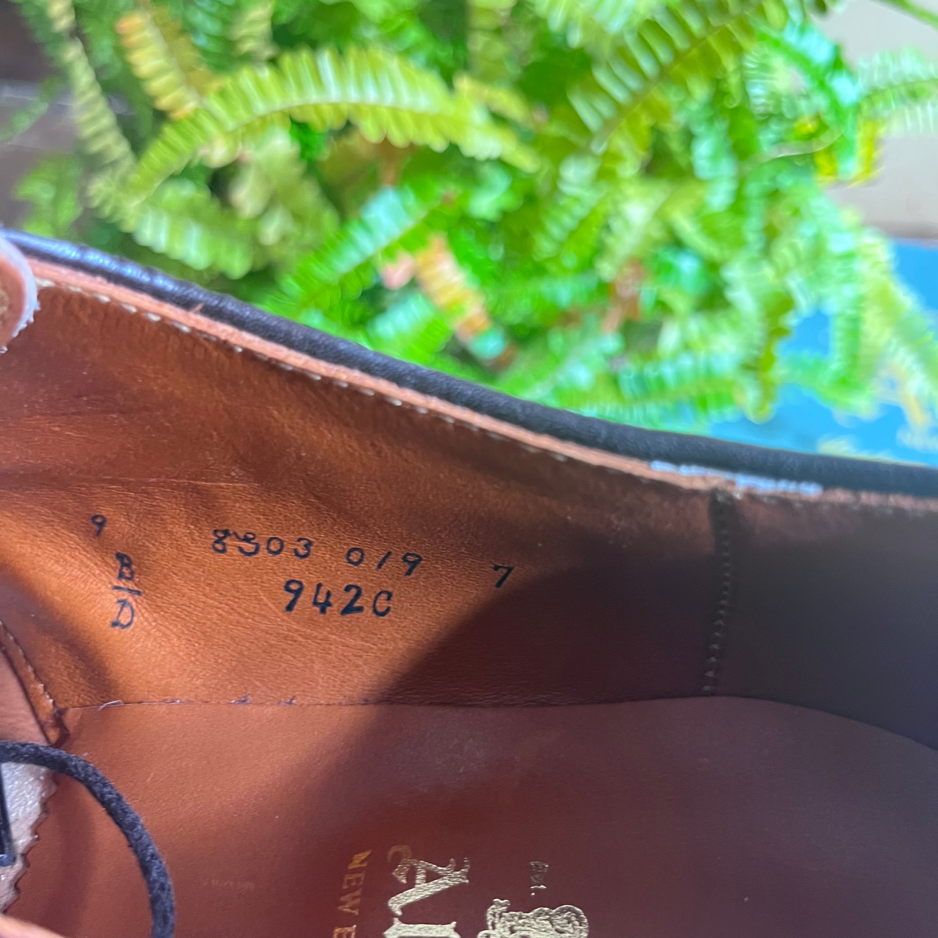 Alden 942 C Grain Calf Dutton Blucher Plain Toe Shoes /9.5 D | Rei