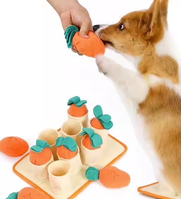 ドッグ 犬 中型犬 小型犬 エクササイズ 大型犬 おやつ隠し おもちゃ