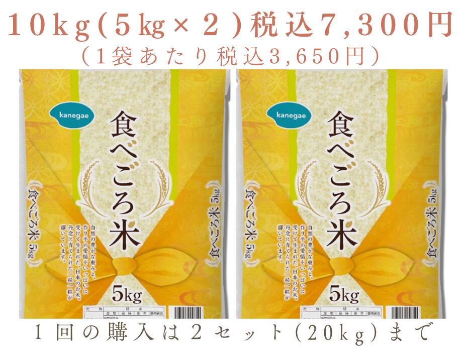 米 5kg×2袋　10KG 米 5kg×2袋 10KG 無洗米 5kg×2」の人気商品一覧 |