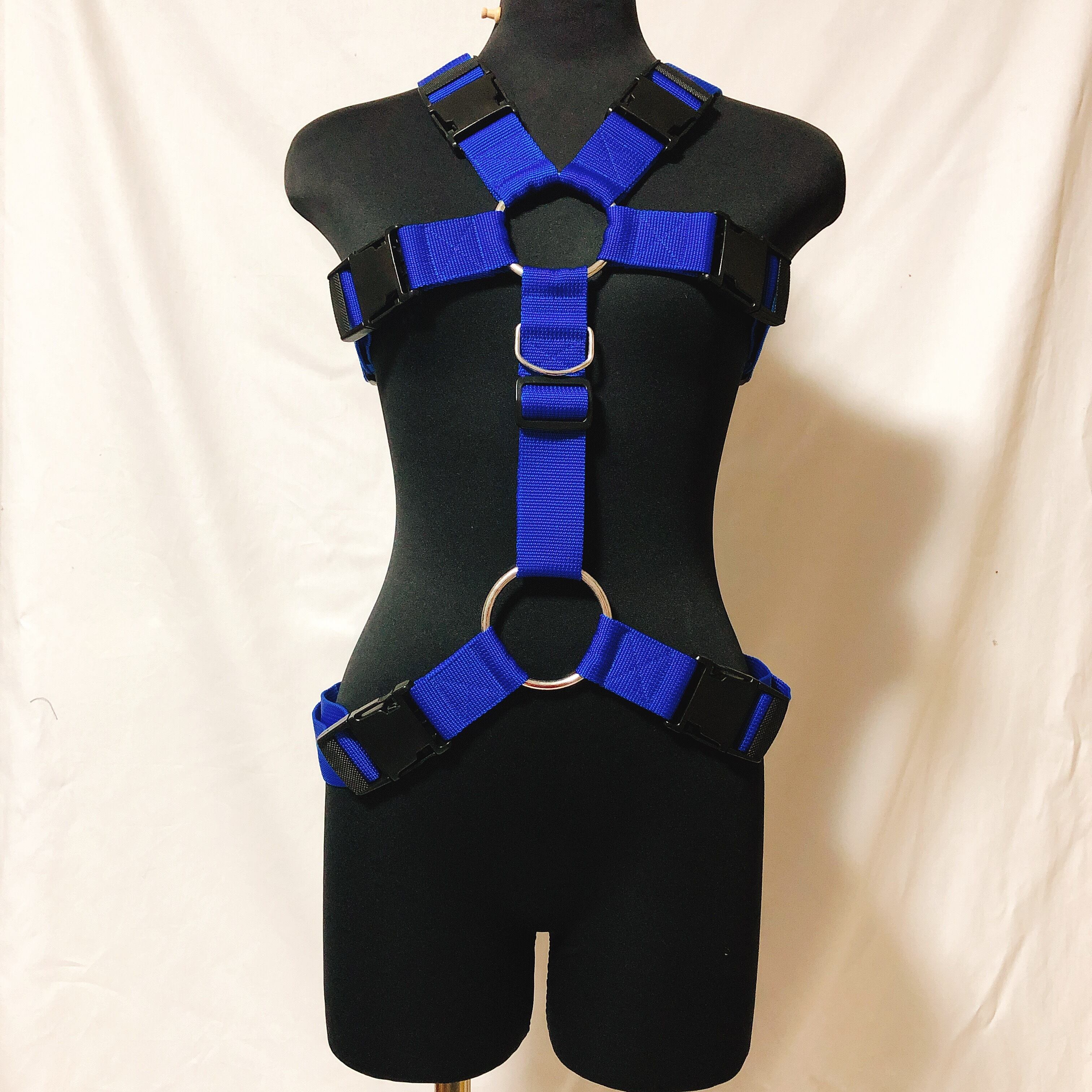 フルハーネス ブルー