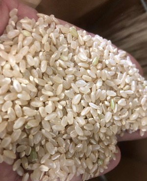 10kg　キヌムスメ（玄米、白米、分づき米）　瀬戸内市　Wacca Farm
