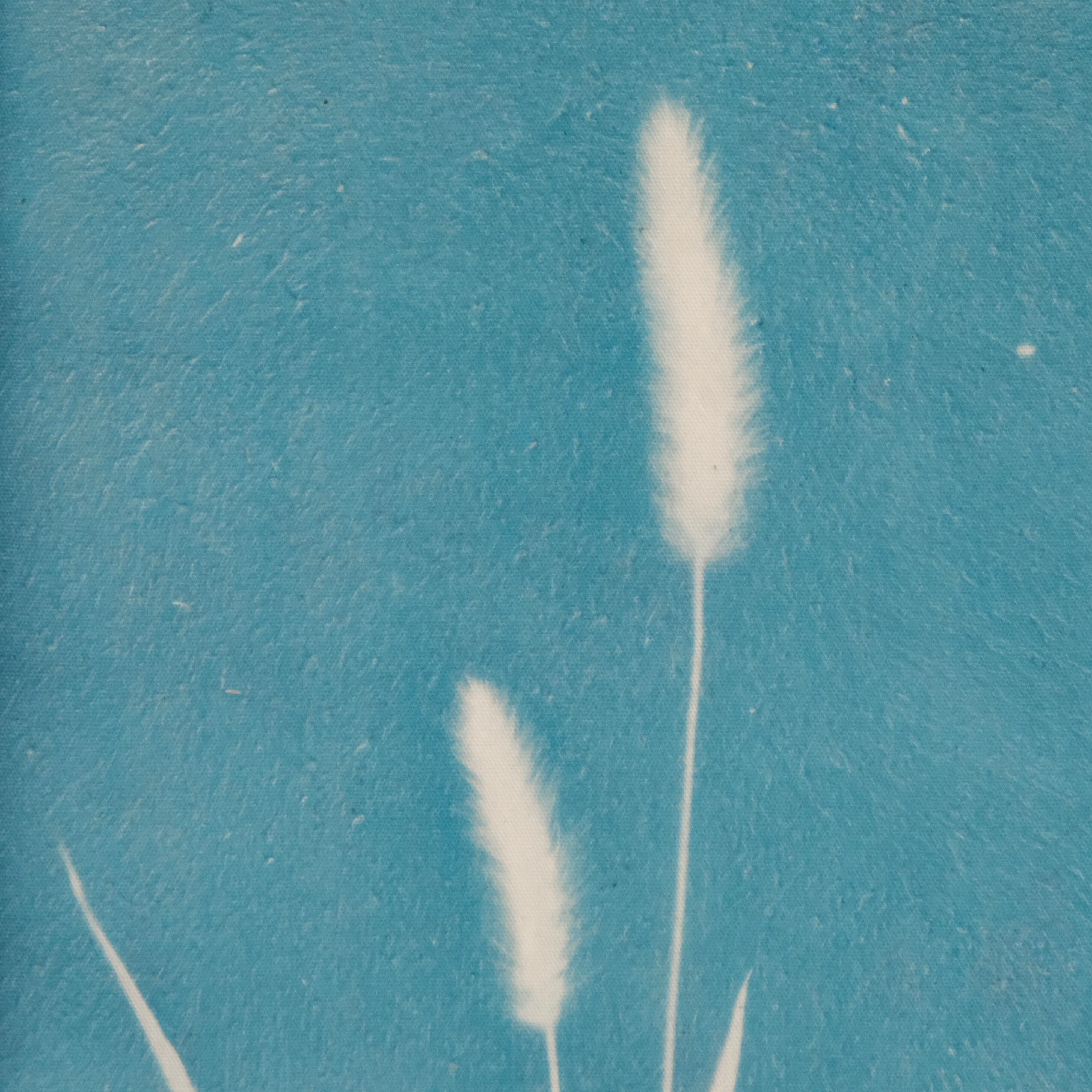 植物の青写真　cyanotype #5