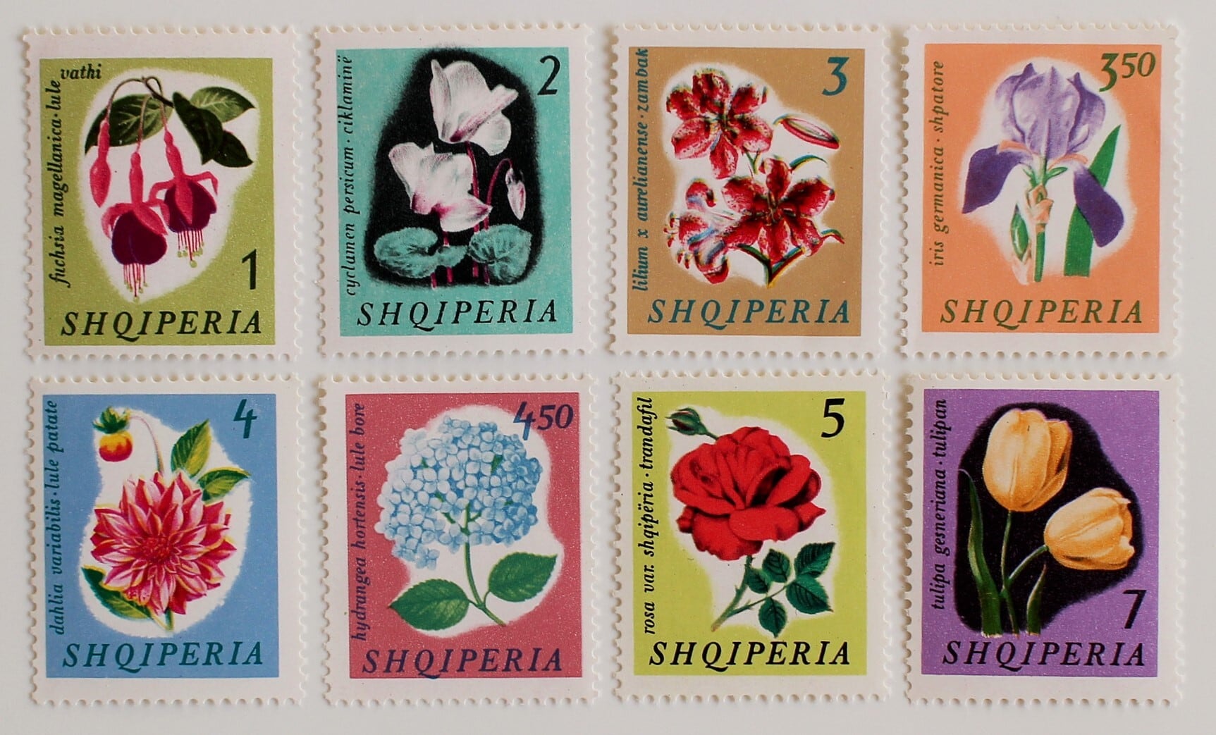 花 / アルバニア 1965 | Stempel ― 旅する切手 ―