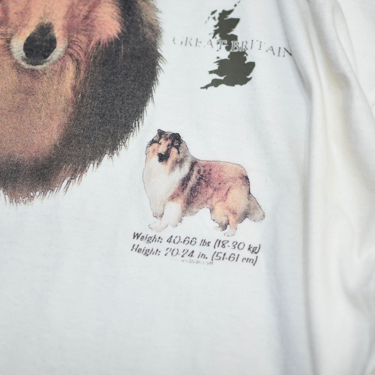 collie print tee